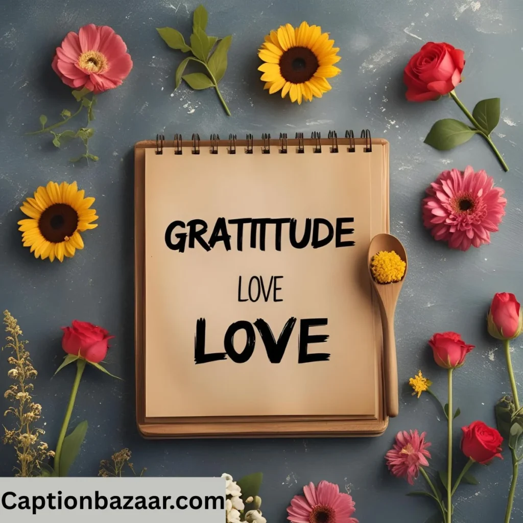 Gratitude Love Captions
