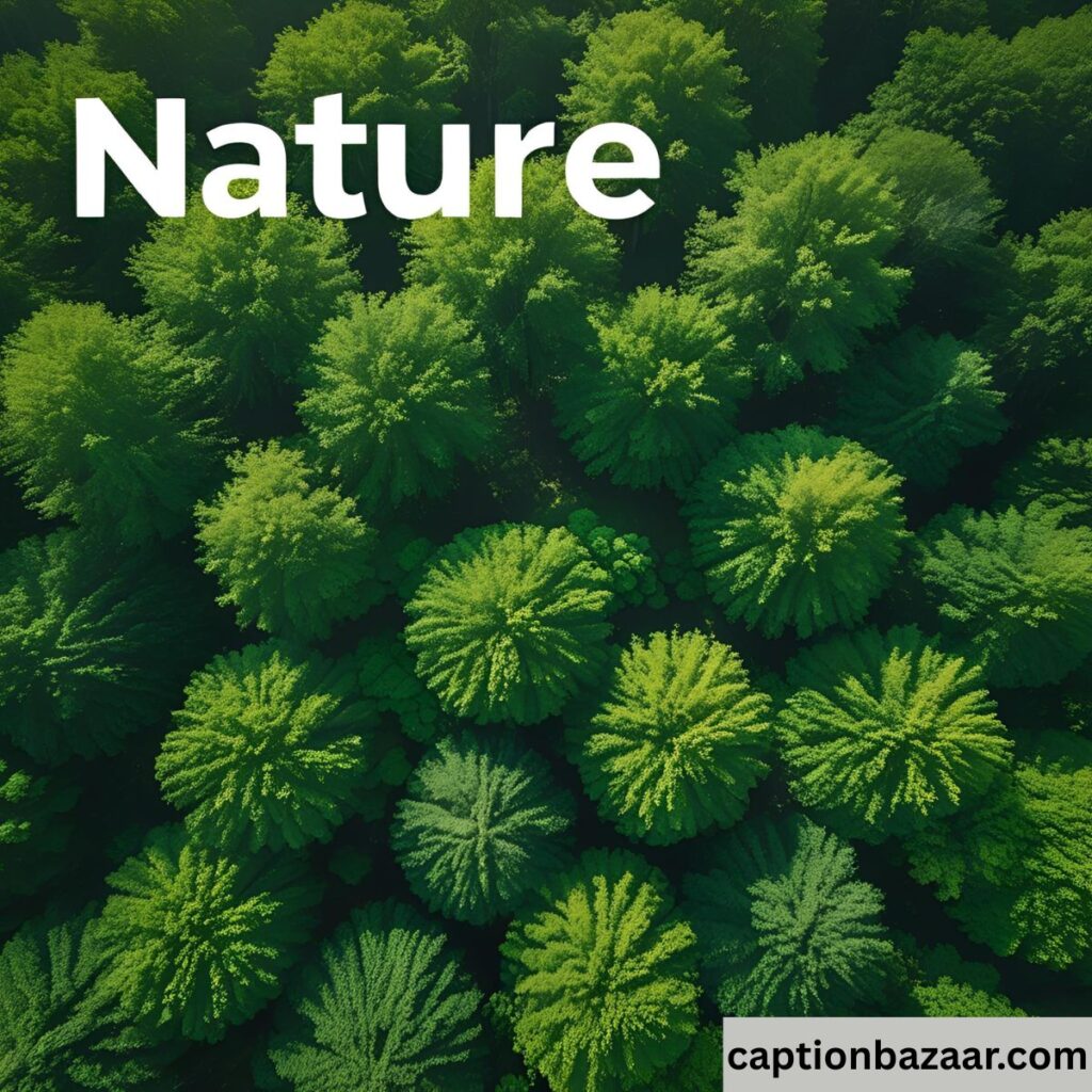 Nature Captions for Reels