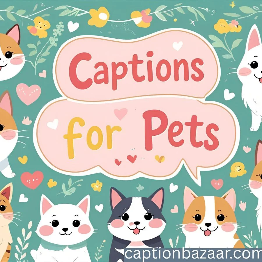 Captions for Pets