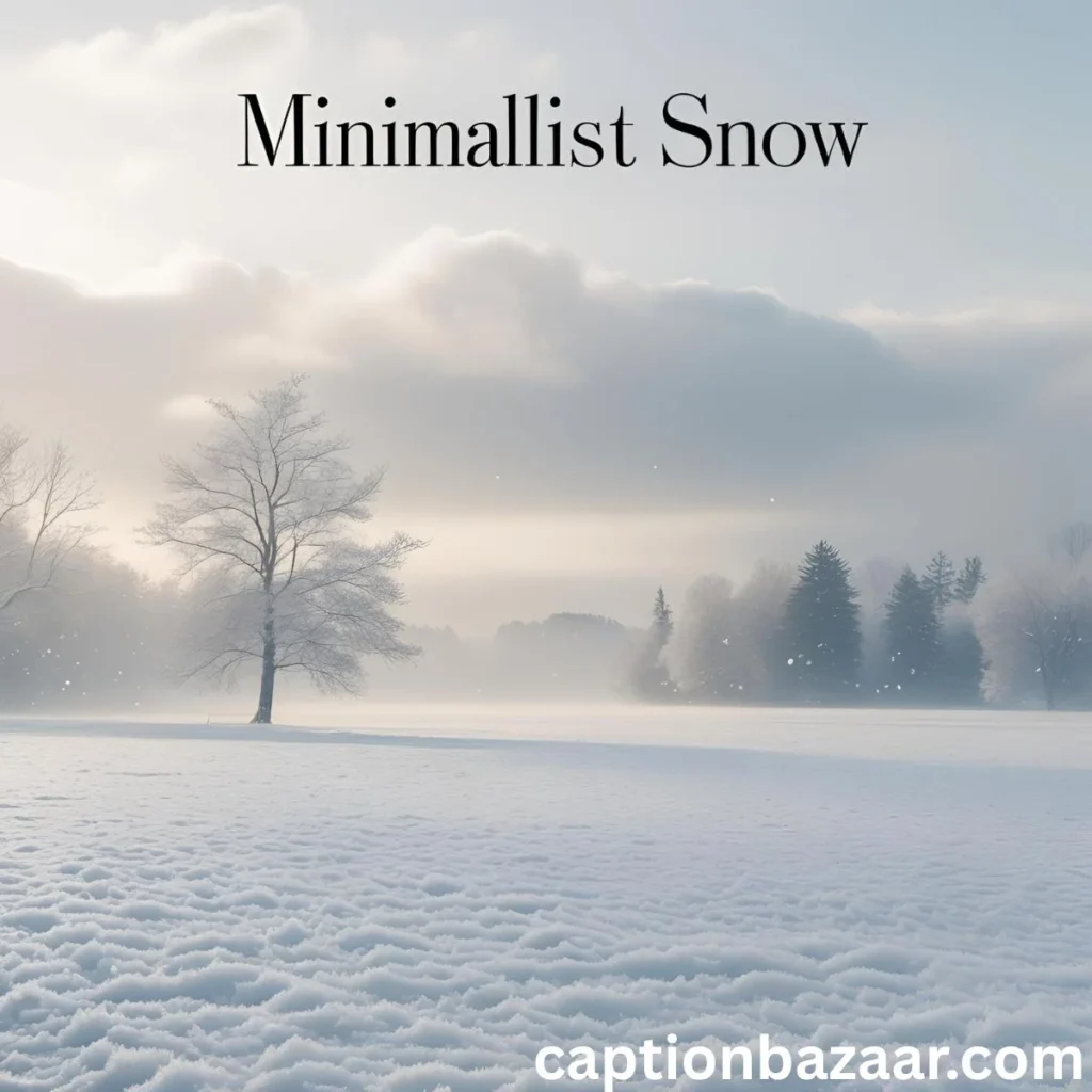 Minimalist Snow Captions