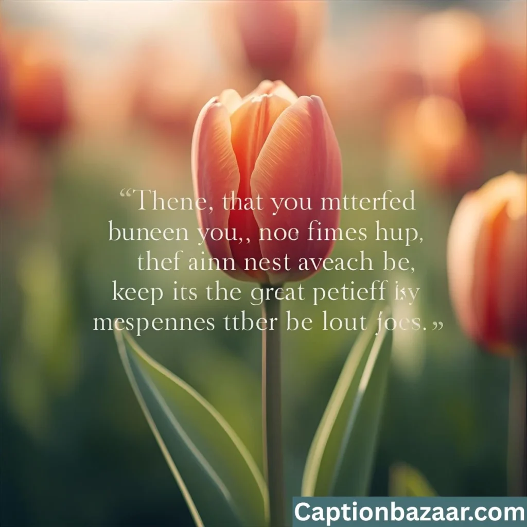 Beautiful Tulip Quotes