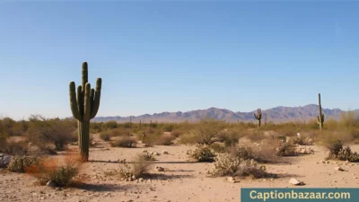Desert Quotes and Captions