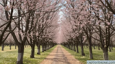 Spring Instagram Captions to Brighten Your Feed