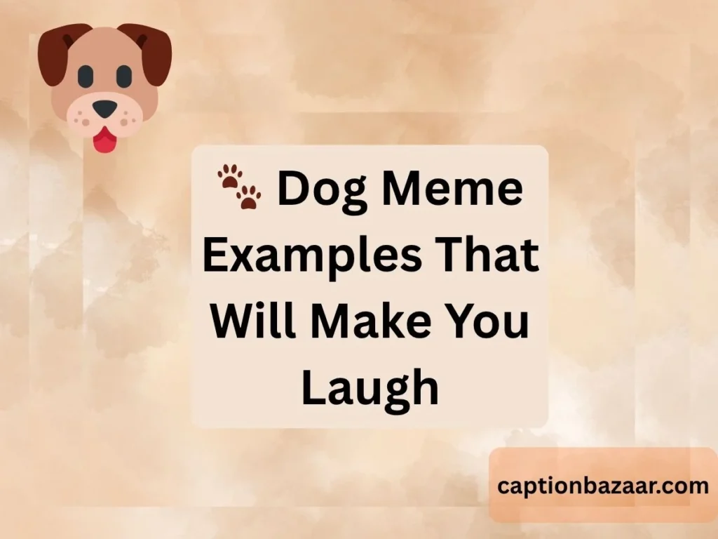 Dog Meme Examples That Will Make You Laugh