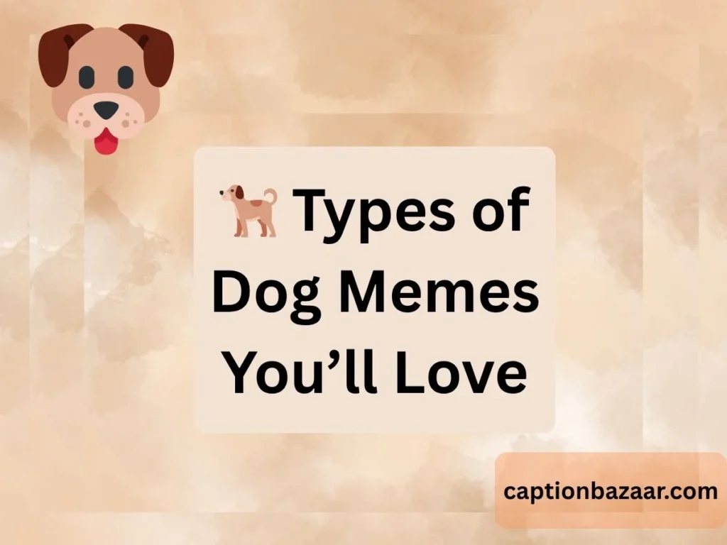 Types of Dog Memes You’ll Love