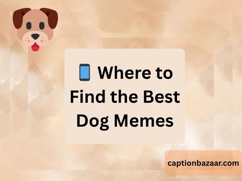 Where to Find the Best Dog Memes