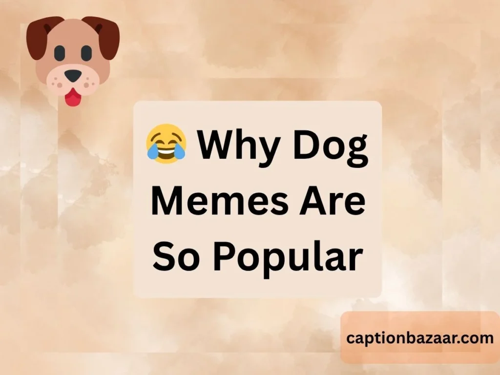 Why Dog Memes Are So Popular